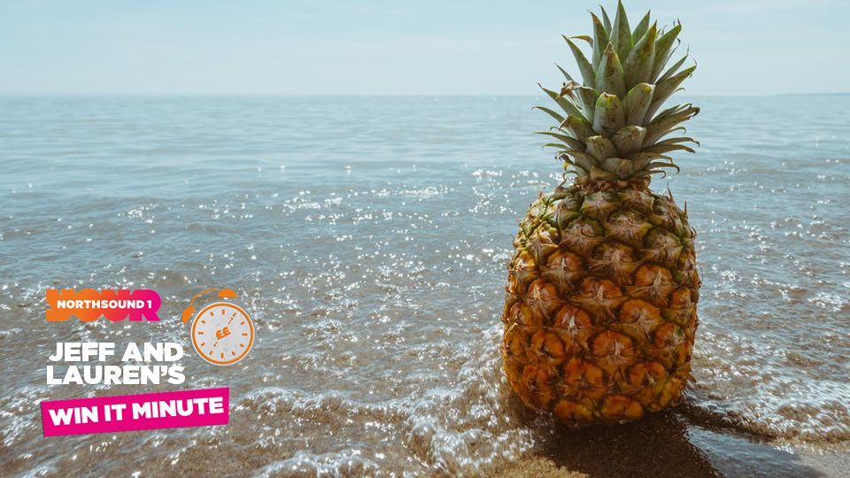 Who lives in a pineapple under the sea? Gaming Northsound 1